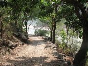 Resize of IMG 0398
