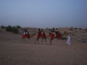 Camel riding:)
