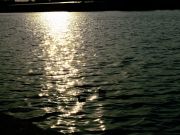 ����������� 132