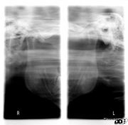 ��������2