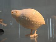 IMG 7943
