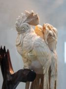 IMG 7948