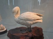 IMG 7951