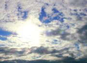 ����������� 133