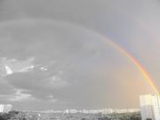 ����������� 135