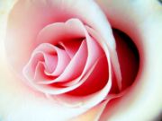 ����������� 140