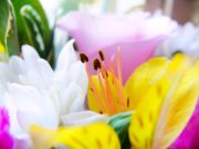 ����������� 143