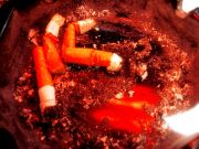 ����������� 144