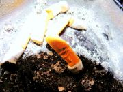 ����������� 48784