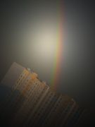 ����������� 136