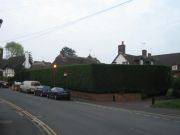 IMG 6192