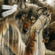 977890058 �����.������