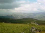 IMAGE 00435