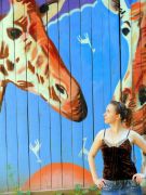 ����������� 001