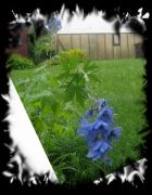 IMG 1371�����700