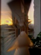 ��� ���� ����