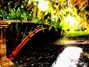 ���� -��������!