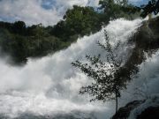 IMG 0974