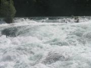 IMG 0999