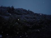   DSC09436