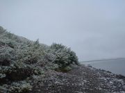   DSC09442