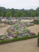Les fleurs ont l'air beaucoup mieux, que moi...