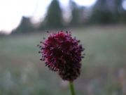 P7131238