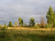 -2008 184