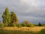 -2008 186