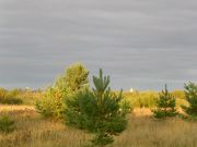 -2008 188