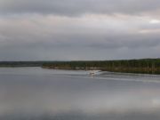 -2008 342