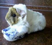 ����������