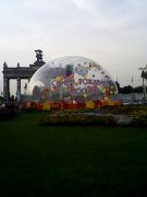 ���� ������2