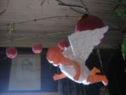 IMG 0653