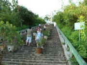 DSC00516