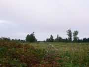 -2008 669