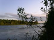 -2008 729