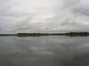 -2008 169