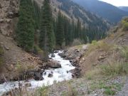 IMG 0905