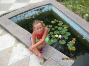 IMG 0380