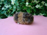 ��������[1]