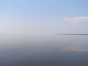 010