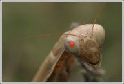 IMG 5660