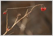 IMG 5947