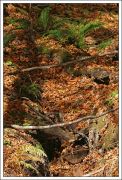 IMG 5991