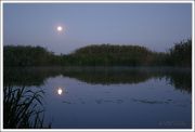 IMG 4734