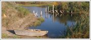 IMG 5386-1