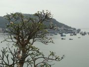 DSC01294