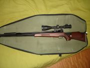 ���������� ���