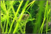 IMG 6551  